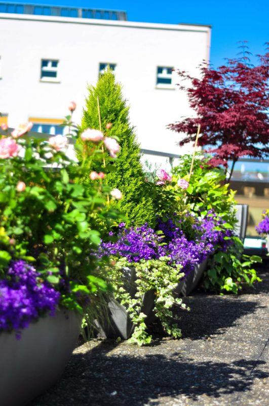 Plante verte et fleuries sur votre terrasse