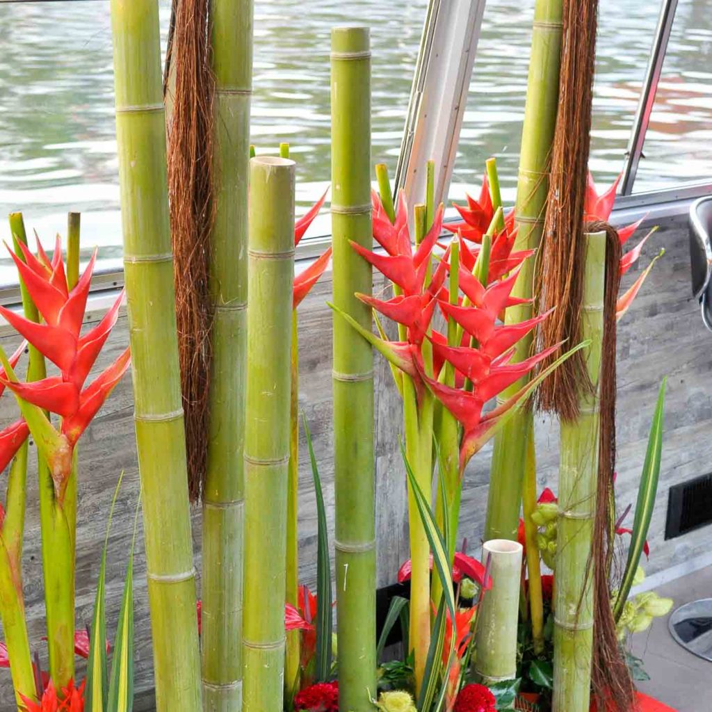 Décor géant de fleurs exotique et bambou