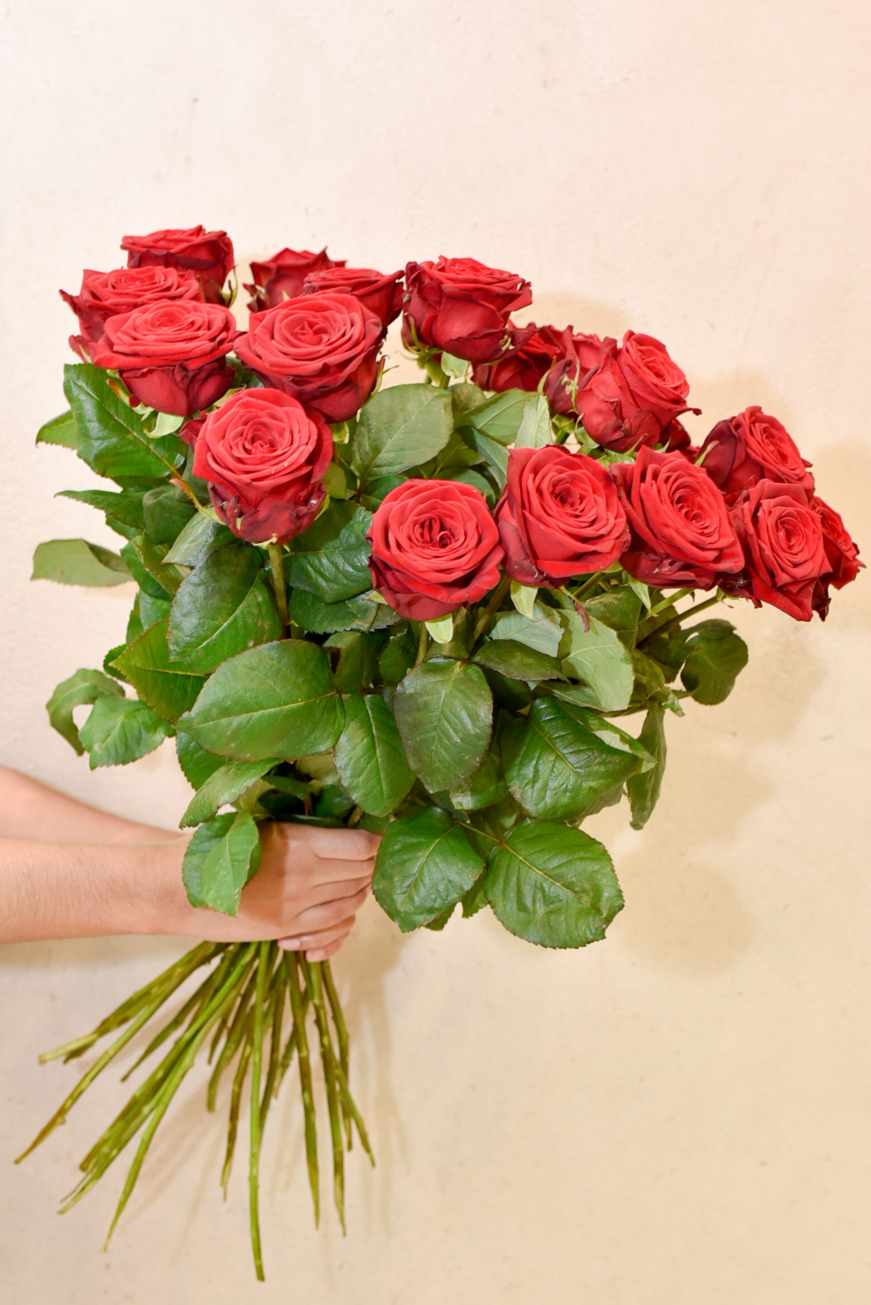 Le bouquet de grandes roses rouge - Blumstein Fleuriste Strasbourg