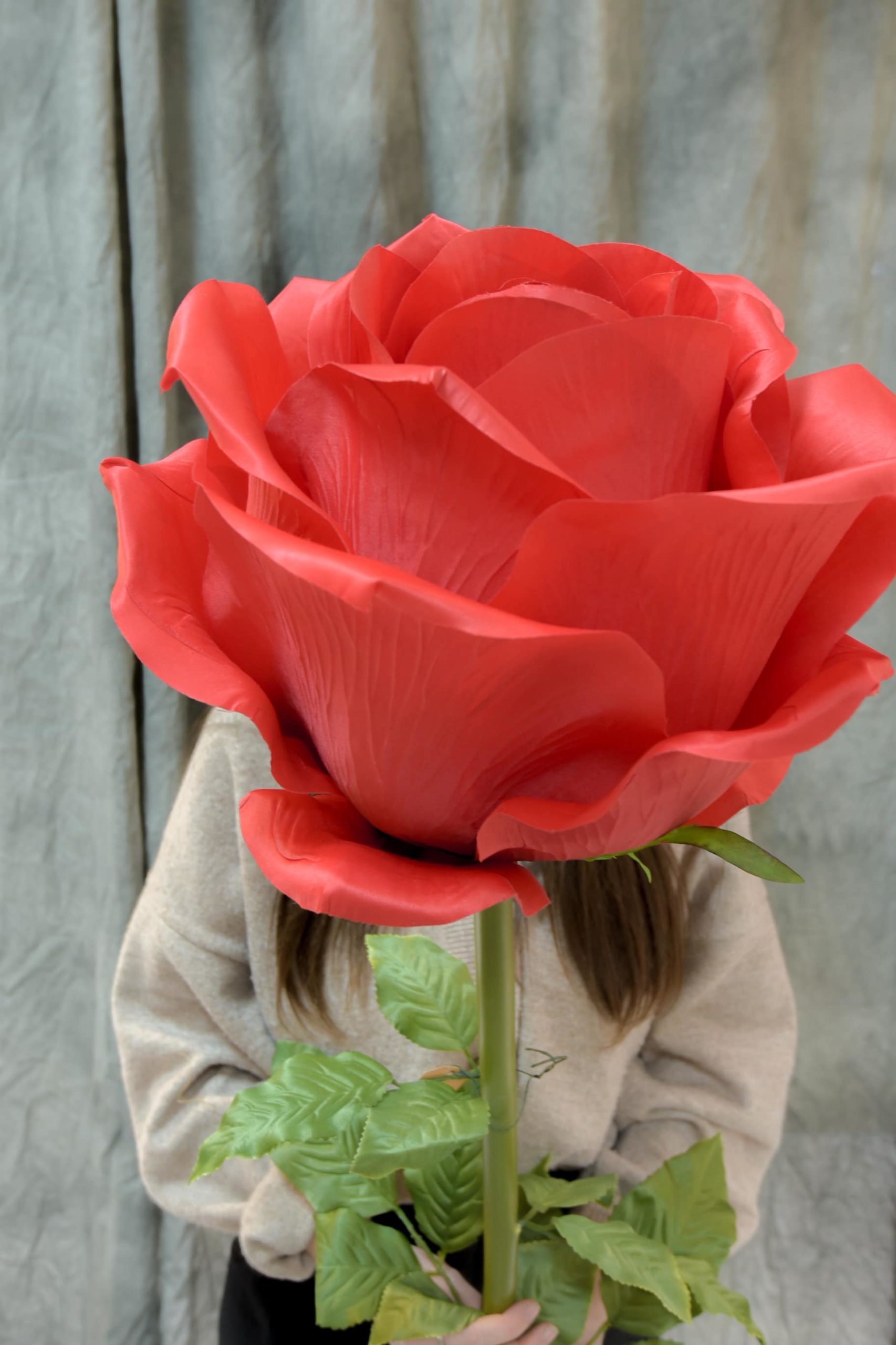 La rose géante d'Alice - Blumstein Fleuriste Strasbourg