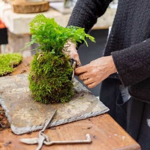 Fleuriste strasbourg atelier kokedama