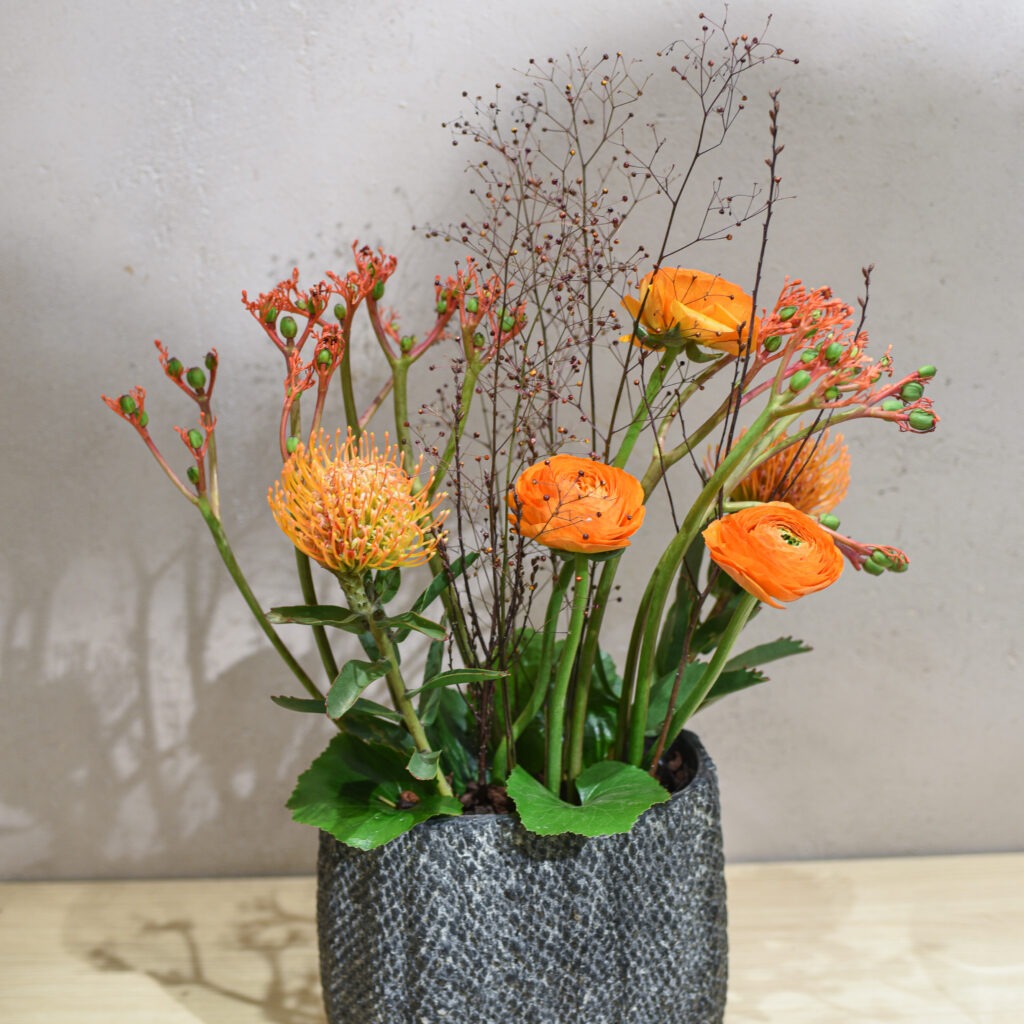 composition stylisé orange_