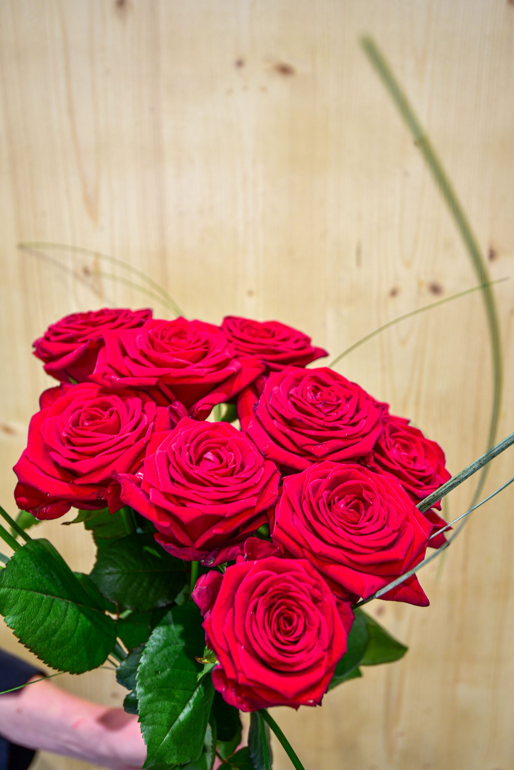 Bouquet de grande Roses rouge - Blumstein Fleuriste Strasbourg
