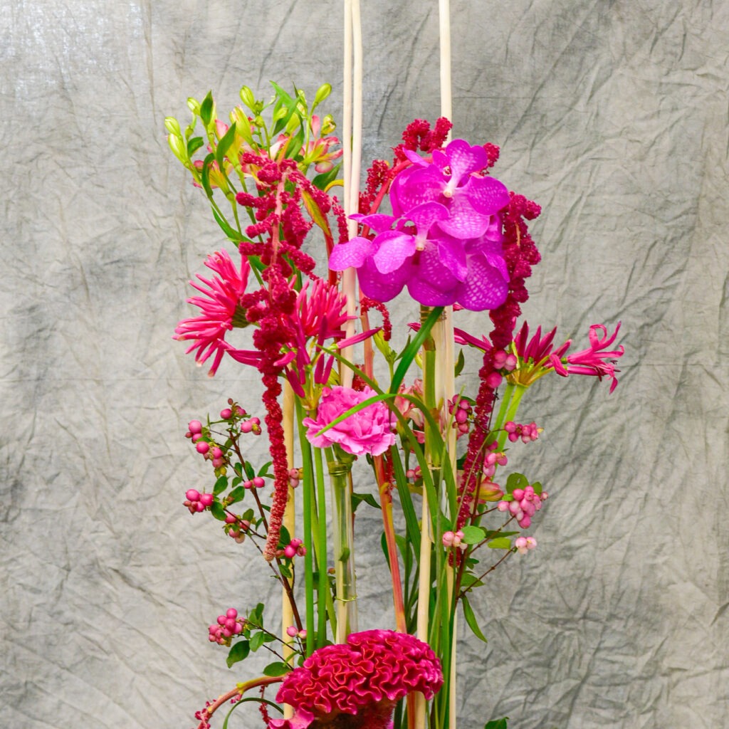 Abonnement floral avec des Vandas_