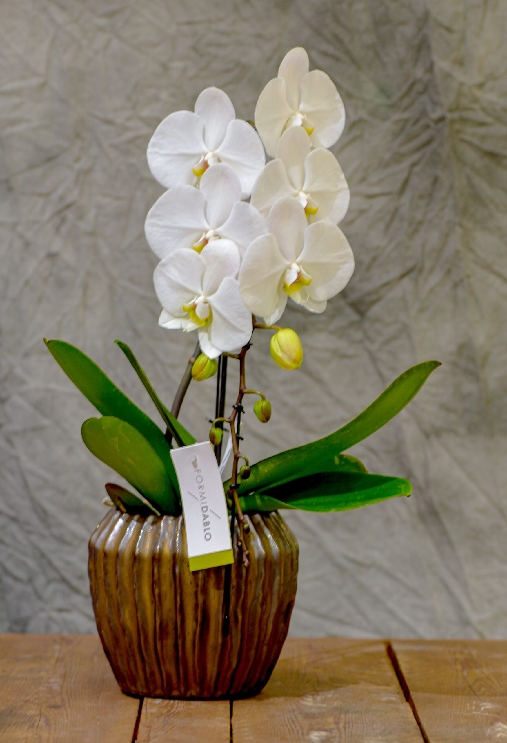 Orchidée artificielle blanche en pot céramique doré, 64 cm