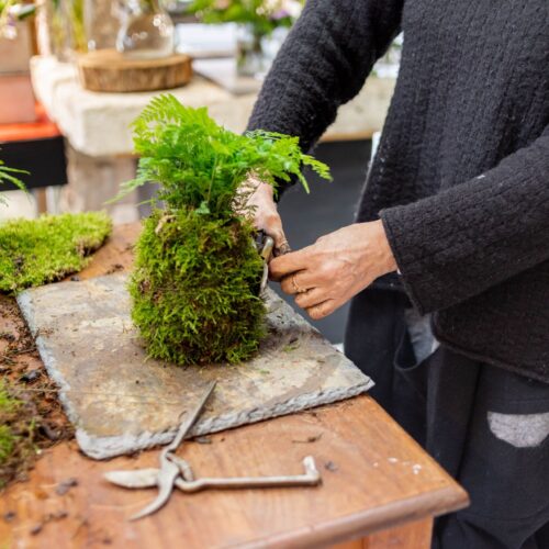 Création d'un arrangement floral