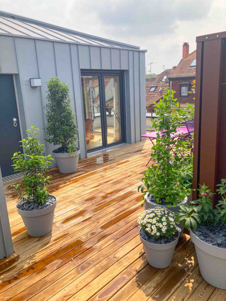 les plantes sont présentes sur la terrasse