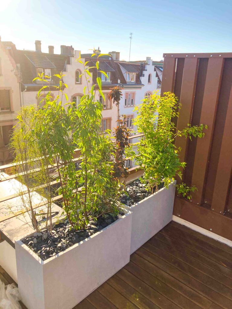 un coup vue avec des plantes