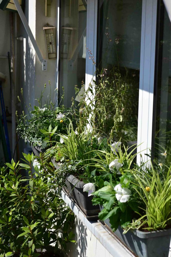 Aménagment de la terrasee comme à l'Anglaise -2